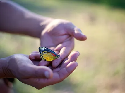 The Journey Of Transformation - Absolute Awareness