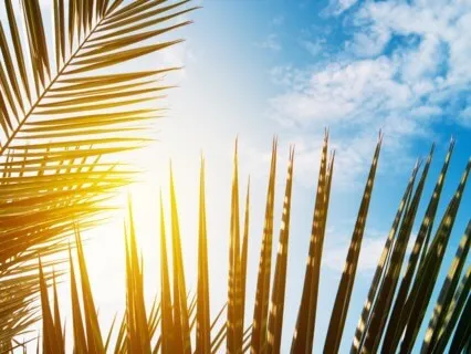 The Way To Abundance Is Simple