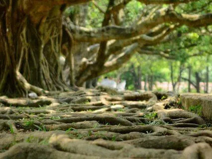 The Way You're Wired Is No Accident