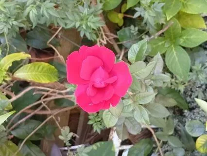 The Way You Speak To Yourself Matters