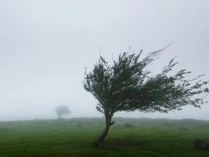 The Weather