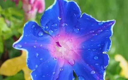 The Weight Of Our Attention