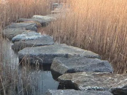 The Weight Of Stillness