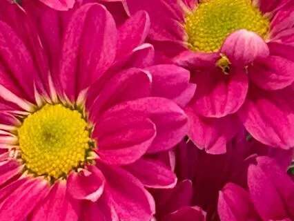 The Weight Of The "Should"