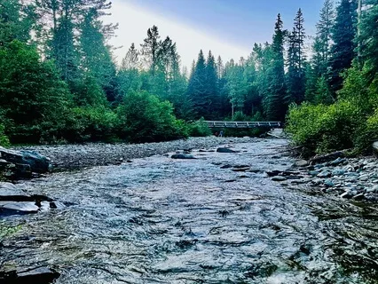 The Weight Of What We Miss