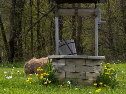 The Well Of Divine Intelligence Meditation