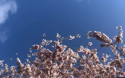 The What, Why, And How Of Body Mindfulness