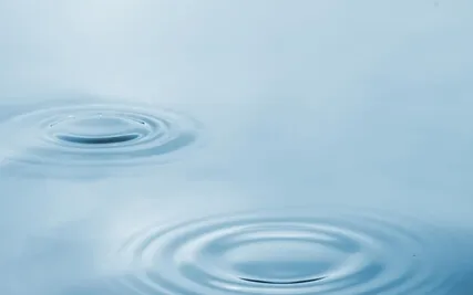 The Wheel Of Awareness