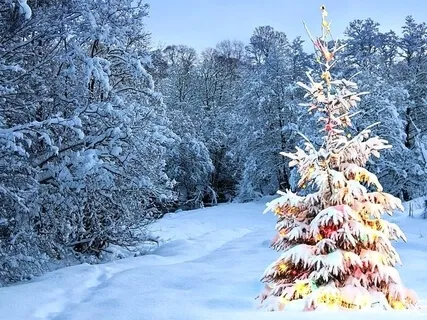 The Wheel Of Manifesting