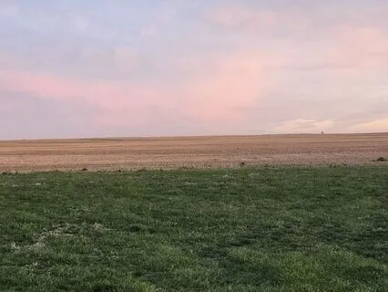 The Whispering Grass