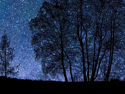 The Whispering House: A Bedtime Story