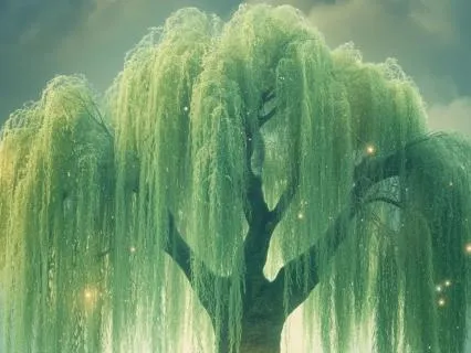The Whispering Willow