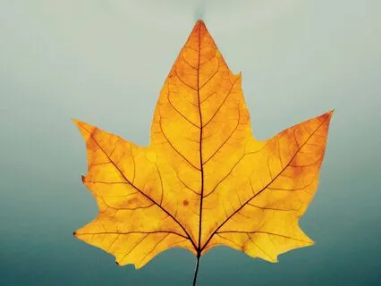 The Wild River Within - October 23