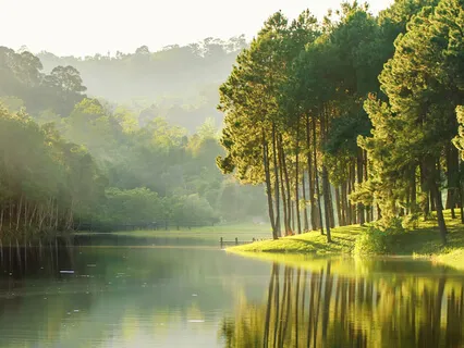 Unlocking Your Full Potential