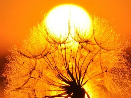 The Wind And The Sun Story: Power In Kindness