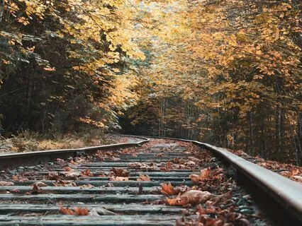 The Wind In The Willows Chapter 8 - Toad's Adventures