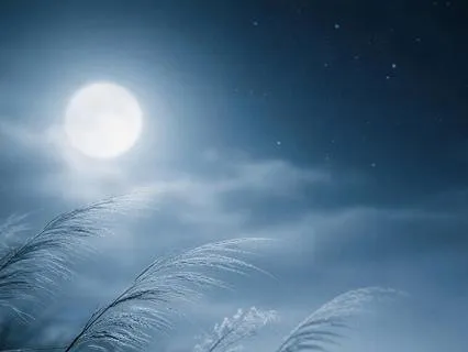 The Wind: Your Elevator to Instant Deep Sleep (8 Hours)