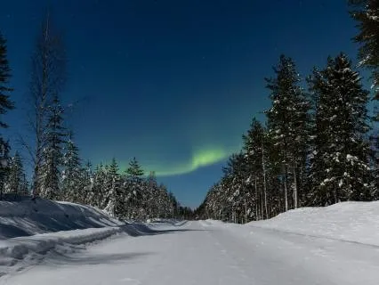 The Winter Fairies: Magical Journey To Sleep