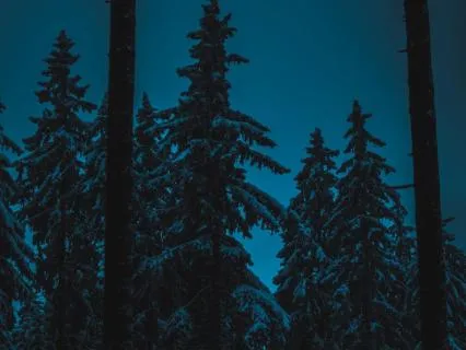 The Winter Refresh: A New Chapter Sleepy Journey