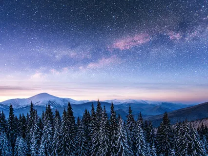 The Winter Wonderland