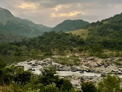 The Wisdom And Healing Of Nature