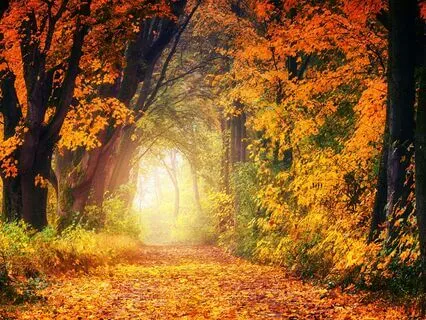 The Wisdom Found In Stillness