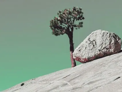 The Wisdom Of Boundaries