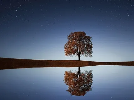 The Wisdom Of Non-Dual Meditation 