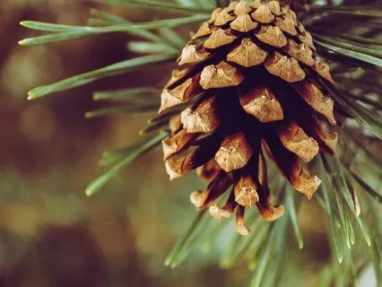 The Wisdom Of Not Knowing - Dec 03