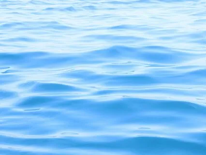 The Wisdom Of The Waves: 3 Steps To Sorry