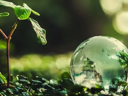 The Wisdom Of Your Body – Trusting Your Body As A Guide