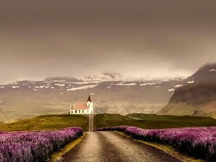 The Wisdom Of Your Wounds