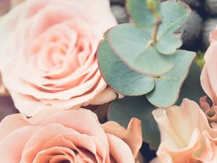 The Wise Garden: Anxiety And OCD Sleep Journey