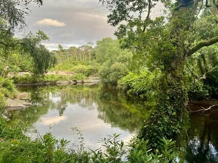 The Wishing Well Manifestation Meditation