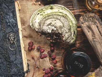 The Witch Tree: A Deep Rest Yoga Nidra For Wisdom & Healing