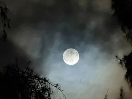 The Witches Cottage: Magic Of The Mighty Small