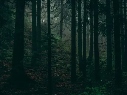 The Witches' Cottage: Magical Summer Rain Sleepy Journey