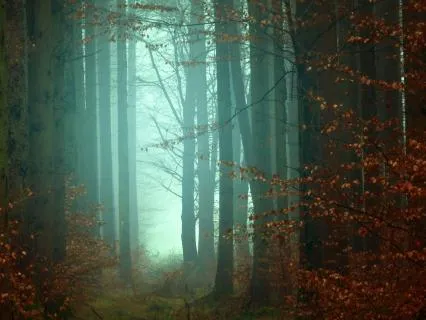 The Witches Of Winderly Wood: A Gentle-Time Story