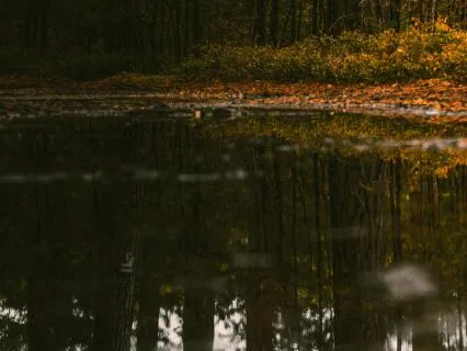 The Witness Of Truth: Returning To Your Inner Sanctuary