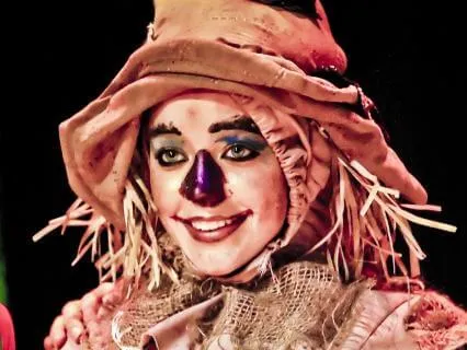 The Wizard Of Oz. 12: The Search For The Wicked Witch