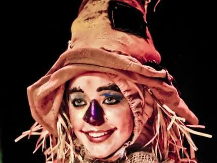 The Wizard Of Oz, Final Chapters: Home Again