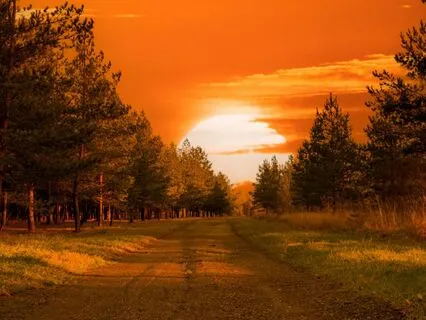 The Wizard's Search For Treasure: Long Bedtime Story