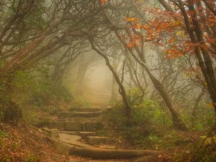 The Woman & Gerbil's Roadtrip Adventure: Long Bedtime Story