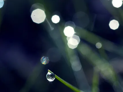 The Wonder In Your Own Mind