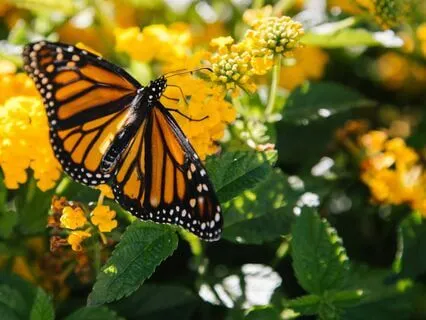 The Wonder Of Our Existence