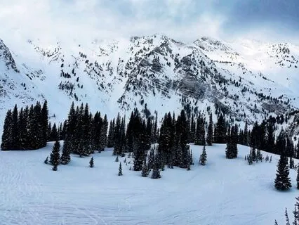 The Wonderful Alpine Horn Bedtime Story