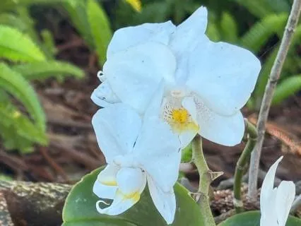 The Wonderful Gift Of Hope