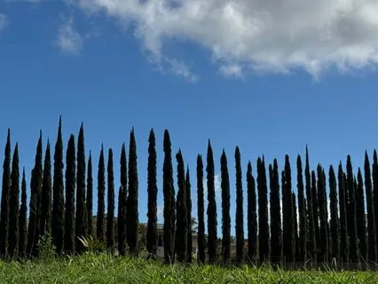 The Wonderful Gift Of Just Beingl