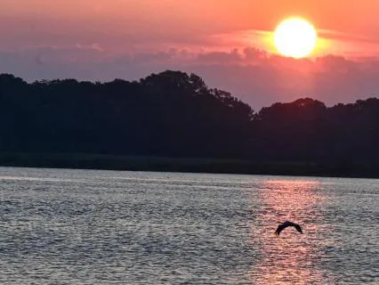 The Wonderful Gift Of Oneness