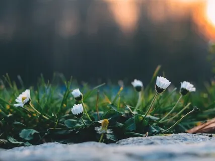 The World God Wanted To Create